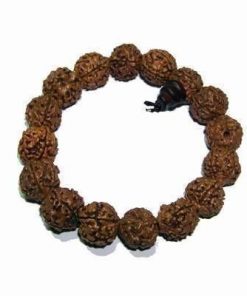 Bratara Mala din Rudraksha, pe elastic