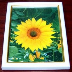 Tablou Feng Shui pentru succes