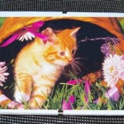 Tablou Feng Shui pentru acest an