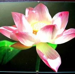 Tablou Feng Shui pentru planul sentimental