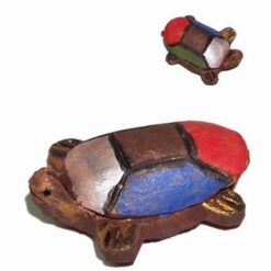 Minibroscutacu magnet si cele 5 elemente