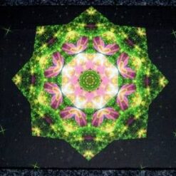 Tablou Feng Shui cu Mandala succesului profesional
