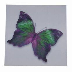 Tablou Feng Shui cu Fluturele Evolutiei Spirituale