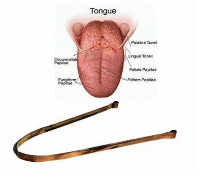 Dispozitiv din cupru pentru curatarea toxinelor de pe limba