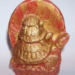 Broastele celor trei generatii - remedii Feng Shui