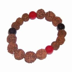 Bratara din Rudraksha, pe elastic - cu onix si coral