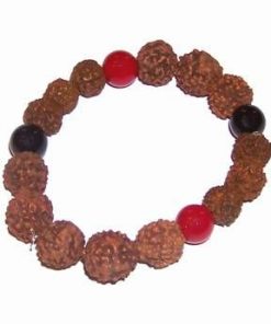 Bratara din Rudraksha, pe elastic - cu onix si coral