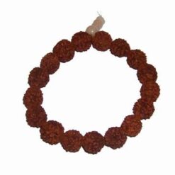 Bratara Mala din Rudraksha, pe elastic