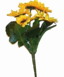 Buchet cu 5 flori - Floarea Soarelui