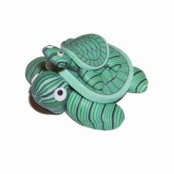 Broscute testoase suprapuse - remediu Feng Shui