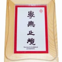 Tablou Feng Shui cu ideograme de bun augur