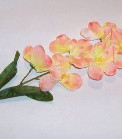 Orhidee Feng Shui - galbena/portocalie