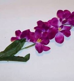 Orhidee Feng Shui - mov