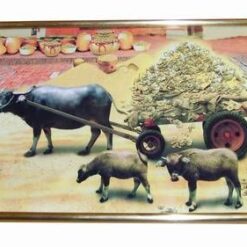 Tablou Feng Shui cu bivolii prosperitatii