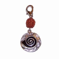 Remediu Feng Shui cu Rudraksha si simbol Reiki