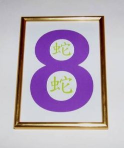 Tablou Feng Shui cu cifra opt si ideograma Sarpelui