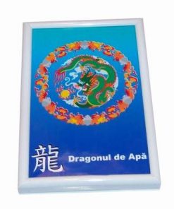 Tablou Feng Shui cu Dragonul de Apa