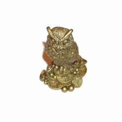 Bufnita aurie pe monede - remediu Feng Shui