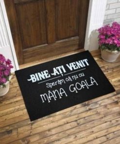 Covoras Feng Shui - Bine Ati Venit