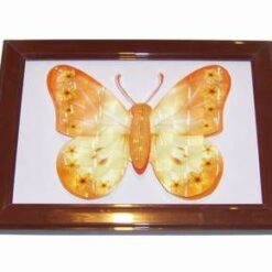 Tablou 3D Feng Shui cu Fluturele succesului profesional