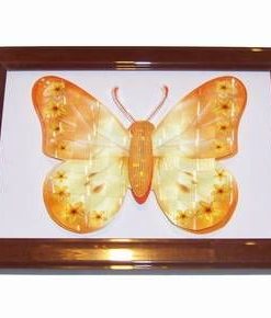 Tablou 3D Feng Shui cu Fluturele succesului profesional