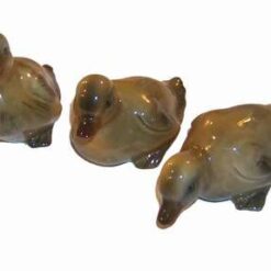 Familie de rate mandarine