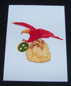 Magnet Feng Shui cu vulturul rosu - steaua #3
