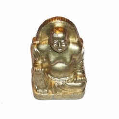 Buddha auriu, razand - pentru succes la invatatura