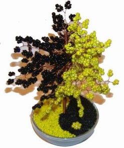 Copacel Yin-Yang - galben cu negru