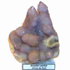 Cristal de ametist cactus pentru protectie