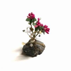 Set decorativ - copcel Feng Shui cu frunze aurii