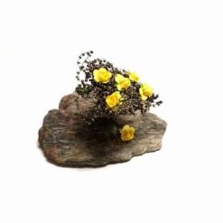 Set decorativ Feng Shui cu trandafiri galbeni