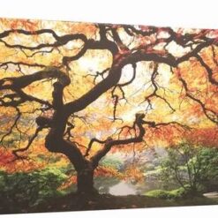 Tablou Feng Shui pe canvas - XXL