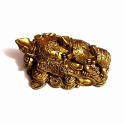 Broastele celor trei generatii - remedii Feng Shui