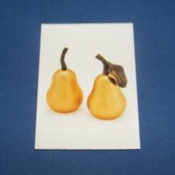 Pereche de pere aurii - #9 - Nord-Vest - magnet