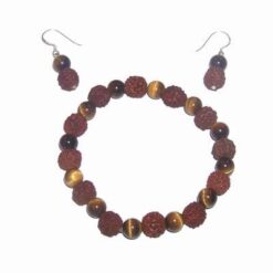Set cu Rudraksha si ochi de tigru, pe argint