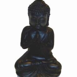 Buddha al meditatiei
