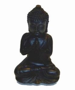 Buddha al meditatiei