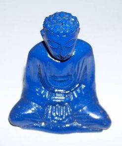 Buddha Tamaduitorul - al sanatatii