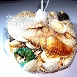 Scoicile fericirii si dragostei - remediu Feng Shui
