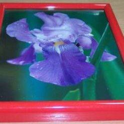 Tablou Feng Shui pentru dragoste