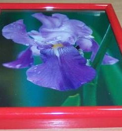 Tablou Feng Shui pentru dragoste