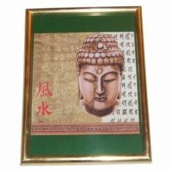 Tablou Feng Shui cu Buddha Tamaduitorul - verde