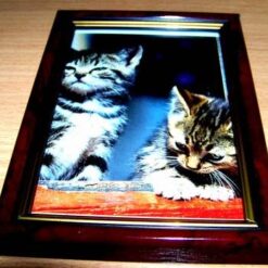 Tablou Feng Shui pentru acest an