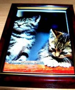 Tablou Feng Shui pentru acest an