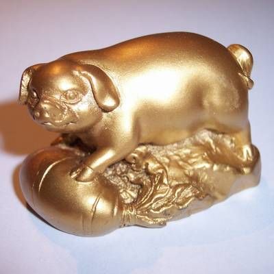 Porc auriu - Remediu Feng Shui